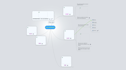 Mind Map: LOS SENTIDOS