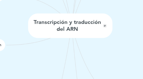 Mind Map: Transcripción y traducción del ARN