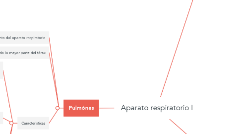 Mind Map: Aparato respiratorio I