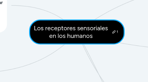 Mind Map: Los receptores sensoriales en los humanos