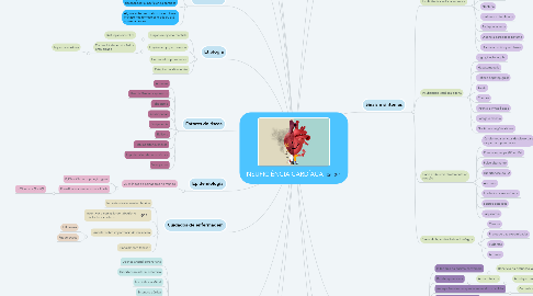 Mind Map: INSUFICIÊNCIA CARDÍACA