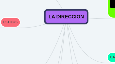 Mind Map: LA DIRECCION