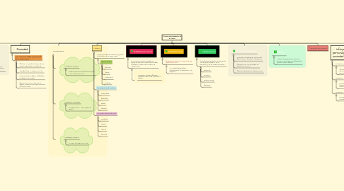 Mind Map: Proceso de socialización de la Cultura