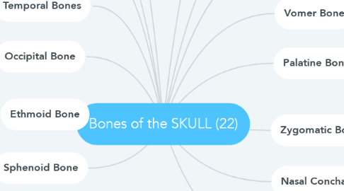 Mind Map: Bones of the SKULL (22)