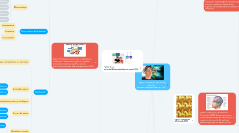Mind Map: Figura 1.Sensación, percepción, atención, memoria.Familyandmedia.eu,2021.