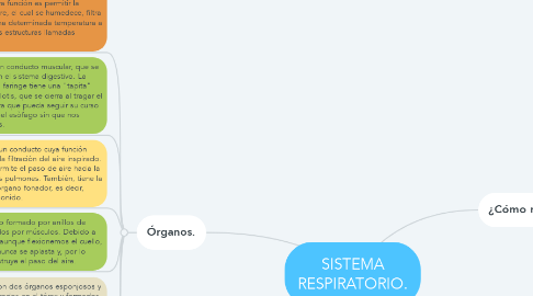 Mind Map: SISTEMA RESPIRATORIO.