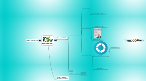 Mind Map: WHAT THE FLOW