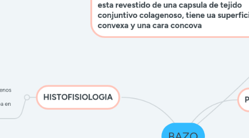 Mind Map: BAZO