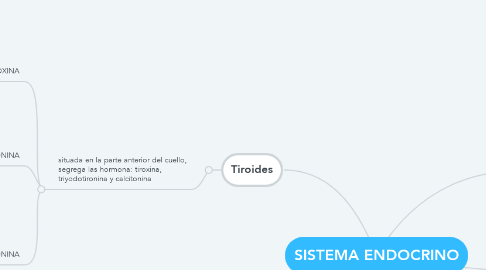 Mind Map: SISTEMA ENDOCRINO