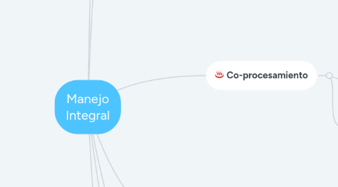 Mind Map: Manejo Integral