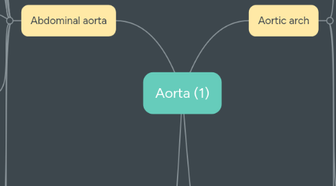 Mind Map: Aorta (1)