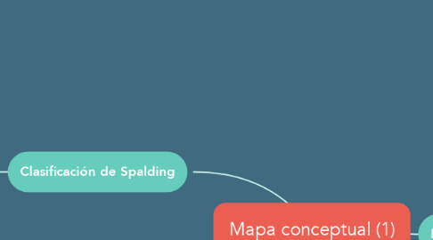 Mind Map: Mapa conceptual (1)