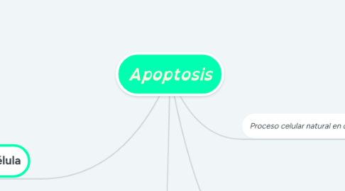 Mind Map: Apoptosis