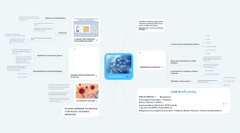 Mind Map: BIOQUÍMICA (1)