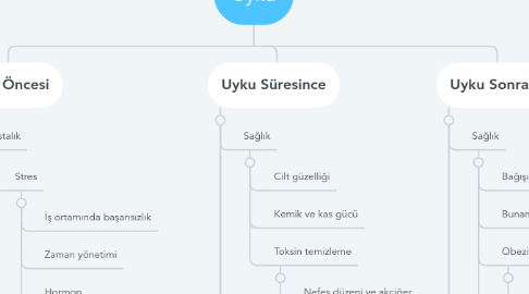 Mind Map: Uyku