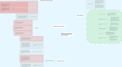 Mind Map: Mecanismos de reacción