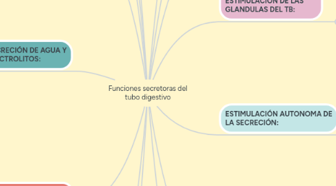 Mind Map: Funciones secretoras del tubo digestivo