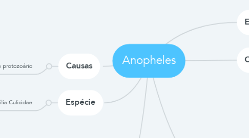 Mind Map: Anopheles