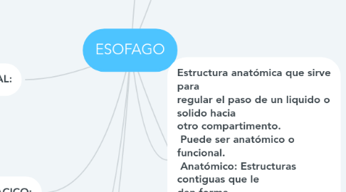 Mind Map: ESOFAGO