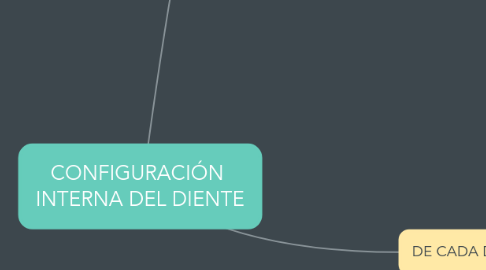 Mind Map: CONFIGURACIÓN  INTERNA DEL DIENTE