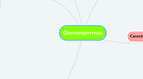 Mind Map: Gimnospermas