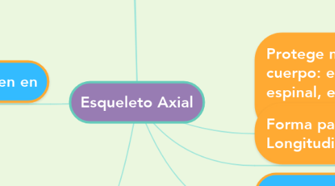 Mind Map: Esqueleto Axial