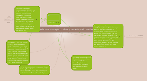 Mind Map: What kind of media institution might distribute your media product and why?