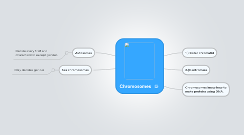 Mind Map: Chromosomes