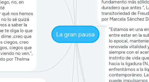 Mind Map: La gran pausa