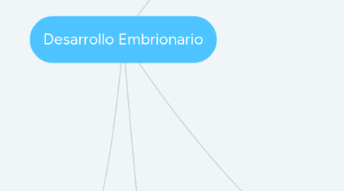 Mind Map: Desarrollo Embrionario