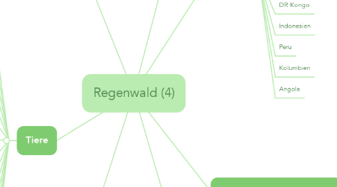 Mind Map: Regenwald (4)