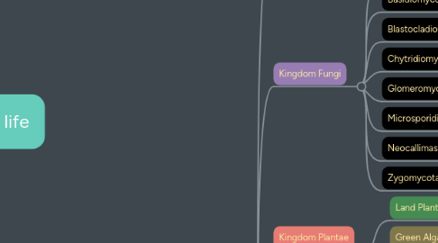 Mind Map: Three domains of life