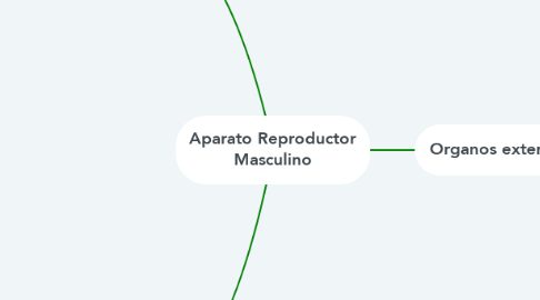 Mind Map: Aparato Reproductor Masculino