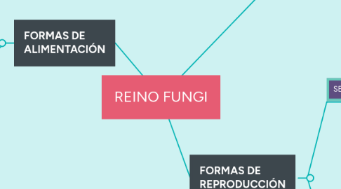 Mind Map: REINO FUNGI