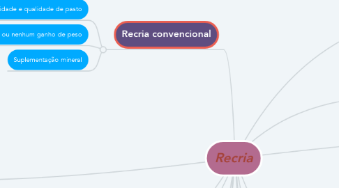 Mind Map: Recria