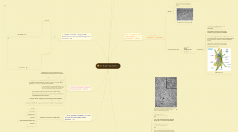 Mind Map: 2.3 Eukaryotic Cells