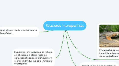 Mind Map: Relaciones Interespecíficas