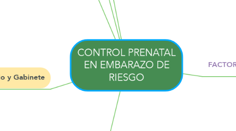 Mind Map: CONTROL PRENATAL EN EMBARAZO DE RIESGO