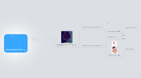 Mind Map: ORGANOFOSFORADOS