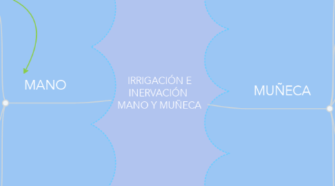 Mind Map: IRRIGACIÓN E INERVACIÓN  MANO Y MUÑECA