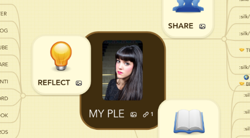 Mind Map: MY PLE