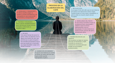 Mind Map: PROCESO DE LA ELABORACIÓN DEL CAFÉ