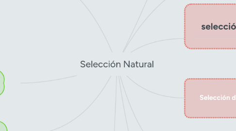 Mind Map: Selección Natural