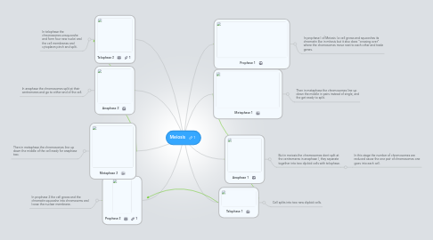 Mind Map: Meiosis