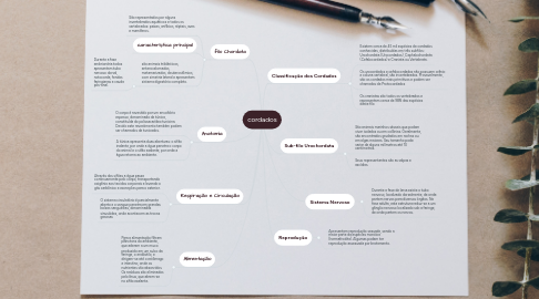 Mind Map: cordados