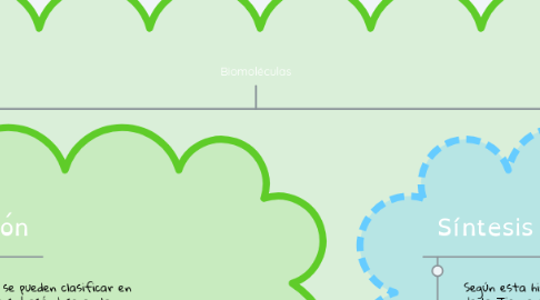 Mind Map: Biomoléculas