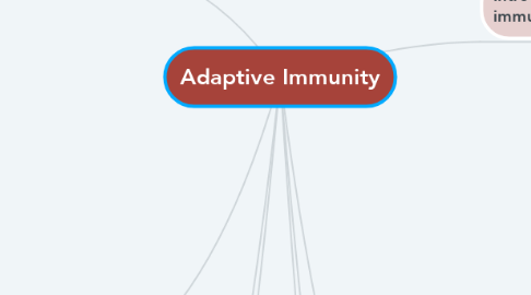 Mind Map: Adaptive Immunity