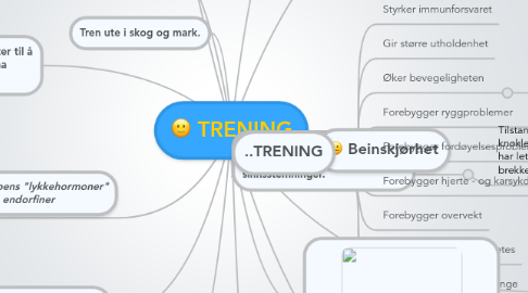 Mind Map: TRENING