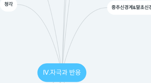 Mind Map: Ⅳ.자극과 반응