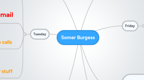 Mind Map: Somer Burgess